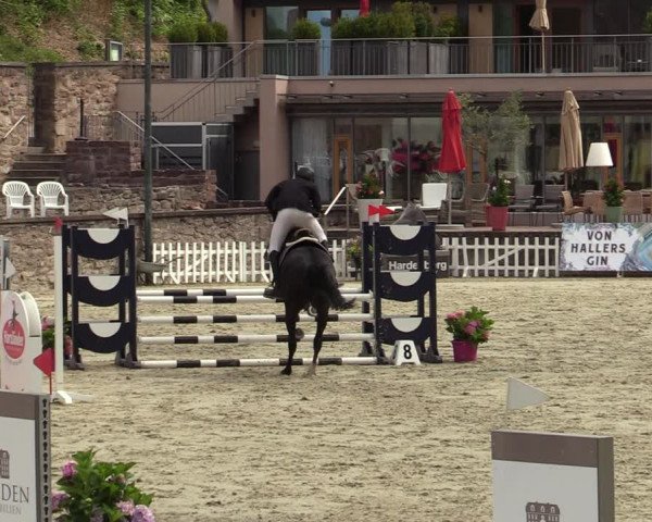 Reitturnier Nörten-Hardenberg 2022