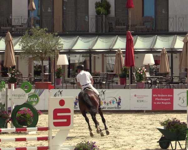 Reitturnier Nörten-Hardenberg 2022