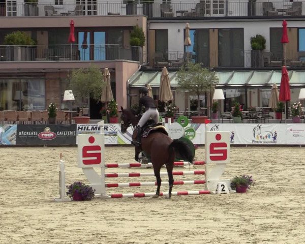 Reitturnier Nörten-Hardenberg 2022