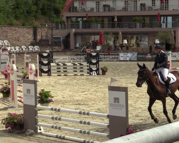 Reitturnier Nörten-Hardenberg 2022