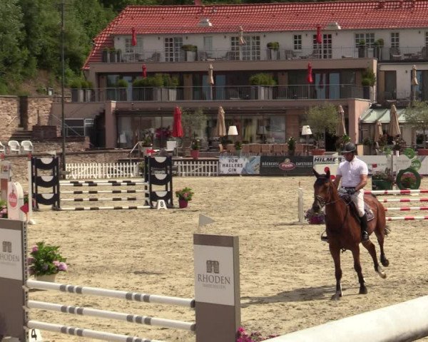 Reitturnier Nörten-Hardenberg 2022