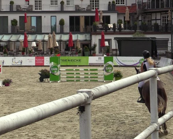 Reitturnier Nörten-Hardenberg 2022