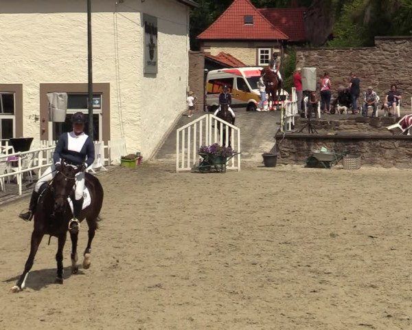 Reitturnier Nörten-Hardenberg 2022