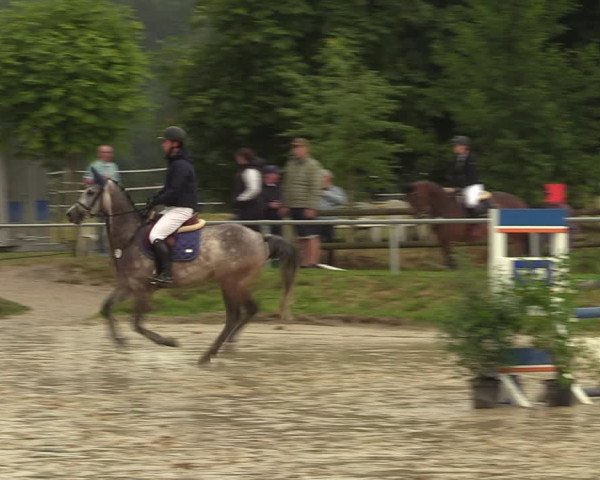 Reitturnier Herbern 2022