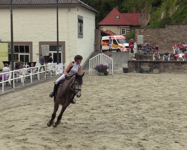 Reitturnier Nörten-Hardenberg 2022