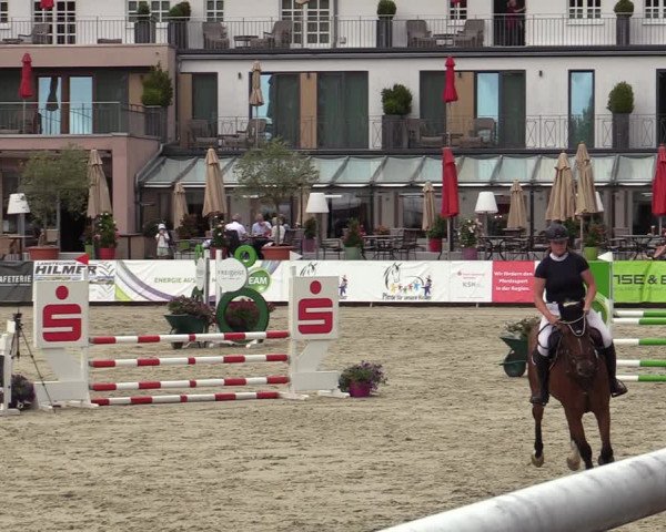 Reitturnier Nörten-Hardenberg 2022