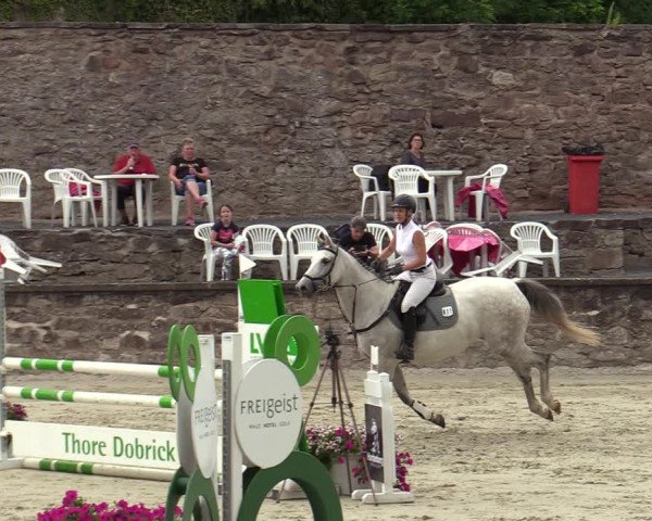 Reitturnier Nörten-Hardenberg 2022