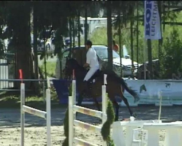 jumper Classic Confidence (Oldenburg, 2000, from Clintino)