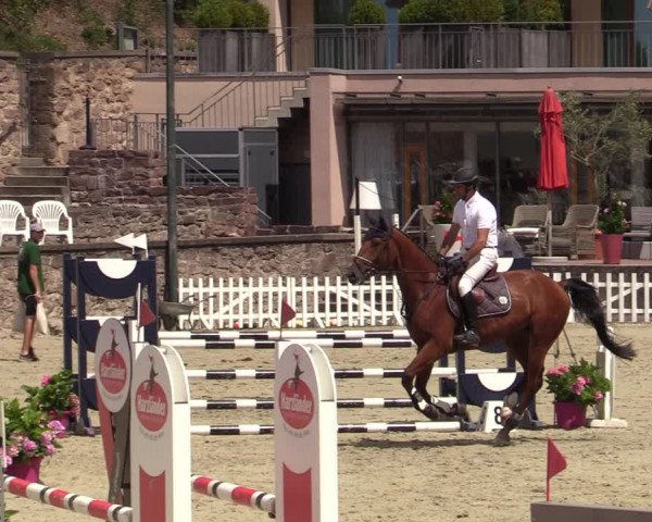 Reitturnier Nörten-Hardenberg 2022