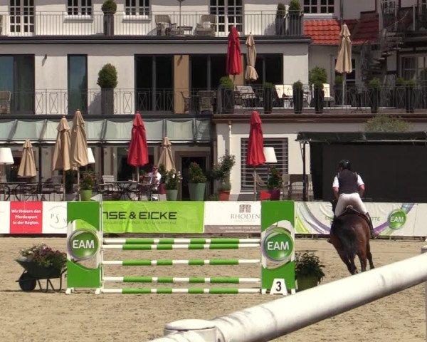 Reitturnier Nörten-Hardenberg 2022