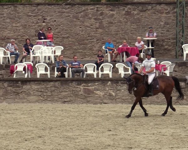 Reitturnier Nörten-Hardenberg 2022