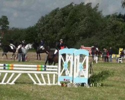 jumper Kira 394 (Oldenburg, 1998, from Saint Cloud)