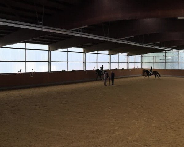 Reitturnier Herbern 2022