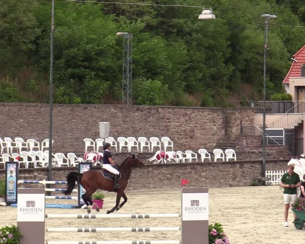 Reitturnier Nörten-Hardenberg 2022