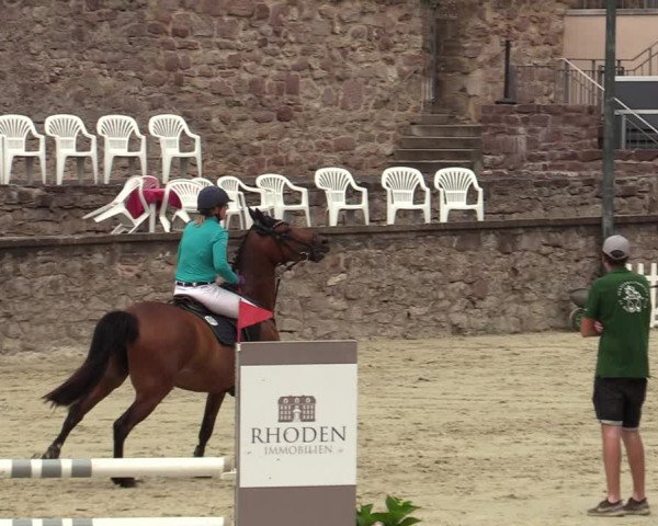Reitturnier Nörten-Hardenberg 2022