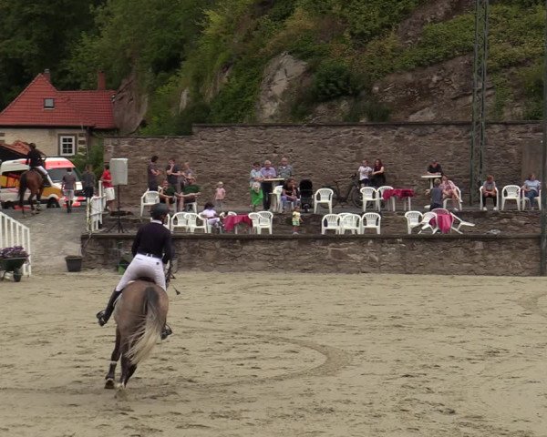Reitturnier Nörten-Hardenberg 2022