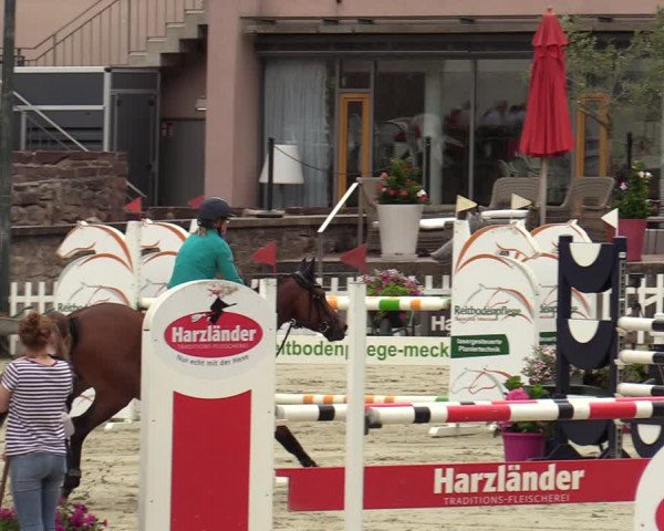 Reitturnier Nörten-Hardenberg 2022