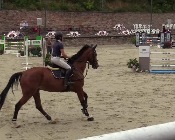 Reitturnier Nörten-Hardenberg 2022