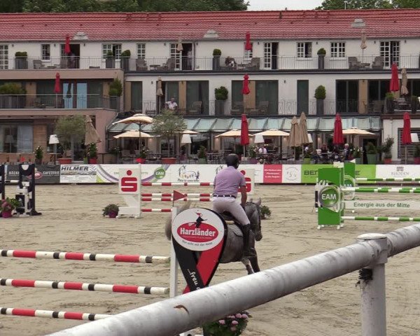Reitturnier Nörten-Hardenberg 2022