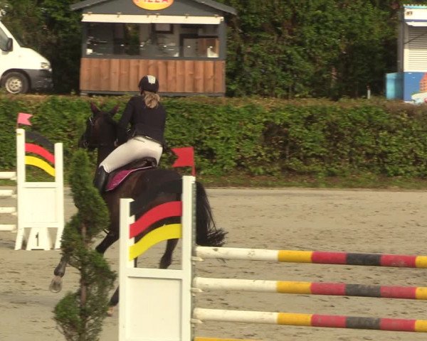 Reitturnier Vlotho-Exter 2022