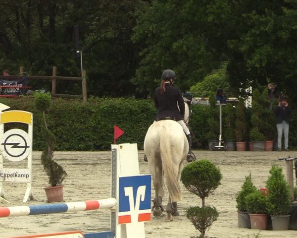 Reitturnier Vlotho-Exter 2022