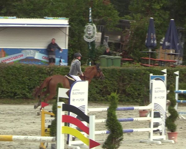 Reitturnier Vlotho-Exter 2022