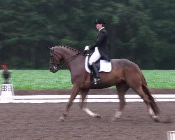 broodmare Wolkina (Hanoverian, 2000, from Wolkentanz II)