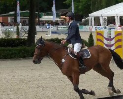 jumper Mister Moujik VH Molenhof (anglo european sporthorse, 2004, from Moujik de Sohan)