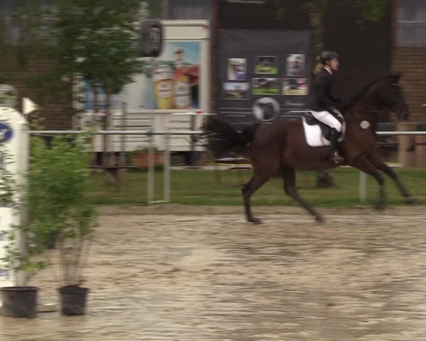 Reitturnier Herbern 2022