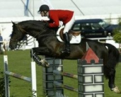 stallion Lexicon (KWPN (Royal Dutch Sporthorse), 1993, from Voltaire)