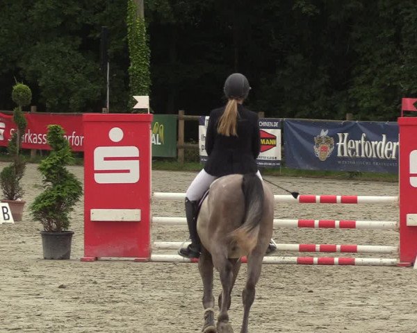 Reitturnier Vlotho-Exter 2022