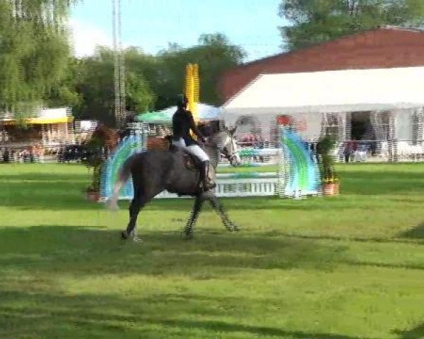 jumper Bourgogne VDL (KWPN (Royal Dutch Sporthorse), 2006, from Hold Up Premier)