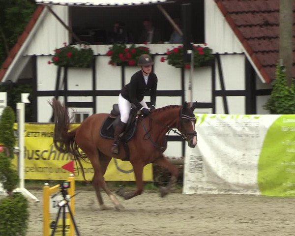 Reitturnier Vlotho-Exter 2022