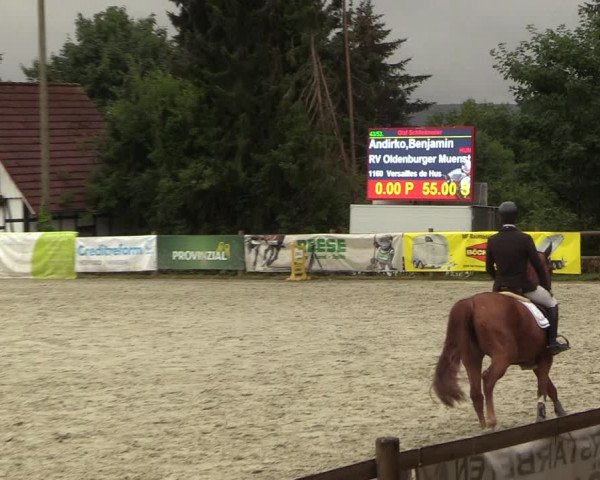Reitturnier Vlotho-Exter 2022