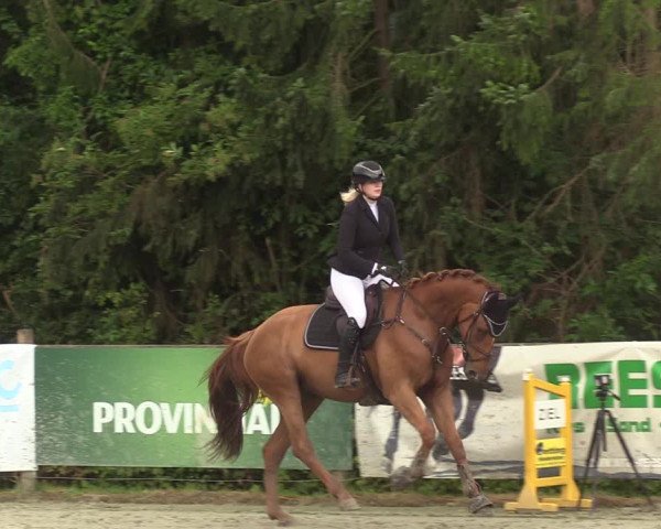 Reitturnier Vlotho-Exter 2022