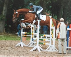 eventing horse Oleg 14 (Oldenburg, 2003, from Orsetto xx)