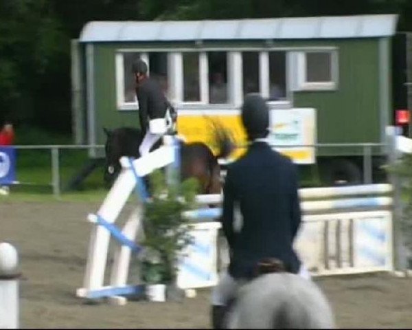 jumper Clever 10 (Westphalian, 2005, from Collin L)