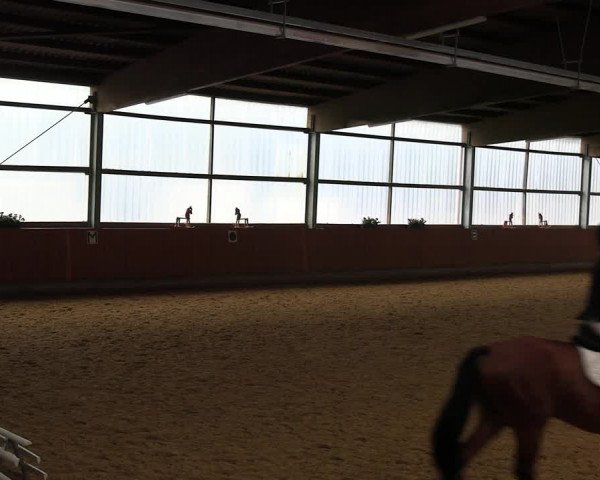 Reitturnier Herbern 2022