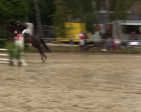Reitturnier Herbern 2022