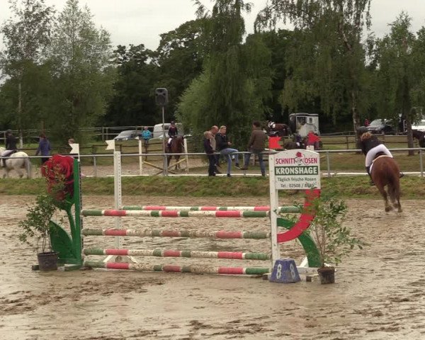 Reitturnier Herbern 2022