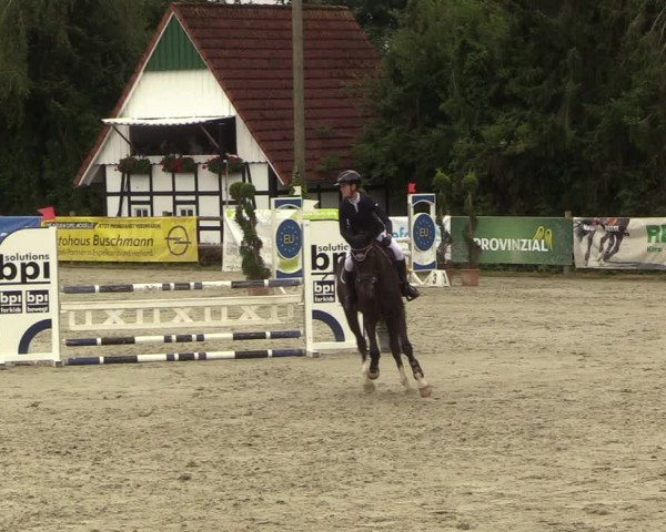 Reitturnier Vlotho-Exter 2022