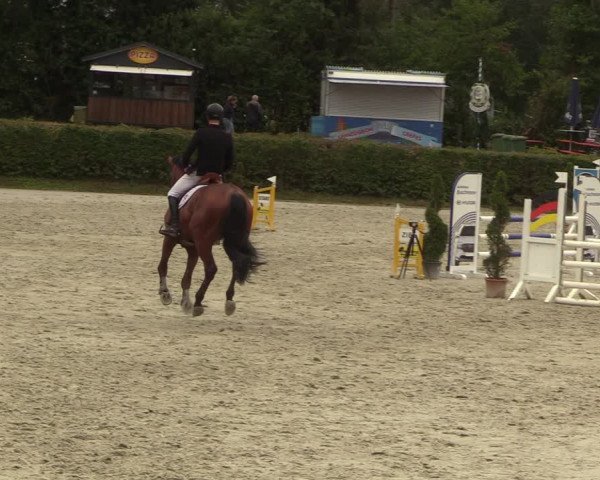 Reitturnier Vlotho-Exter 2022