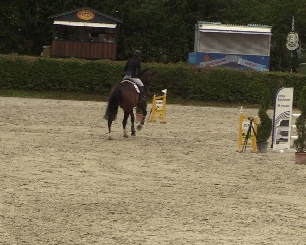 Reitturnier Vlotho-Exter 2022
