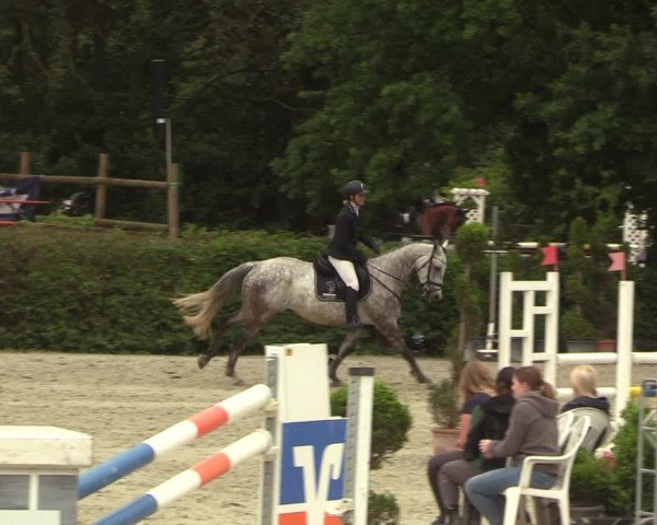 Reitturnier Vlotho-Exter 2022