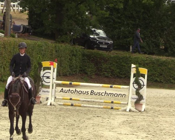 Reitturnier Vlotho-Exter 2022