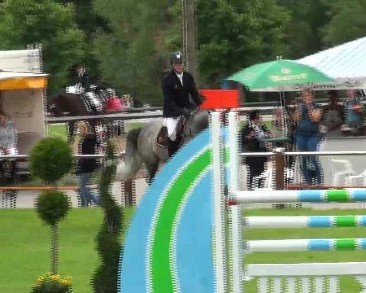 jumper Diador (Belgian Warmblood, 1991, from Diabas II 3367)
