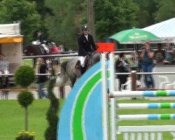 jumper Diador (Belgian Warmblood, 1991, from Diabas II 3367)