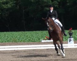 dressage horse Denardo 2 (Oldenburg, 2002, from De Niro)