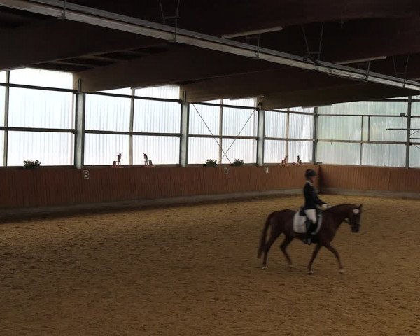 Reitturnier Herbern 2022