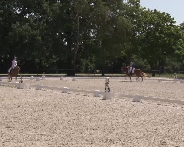 Reitturnier Rot am See- Musdorf 2022